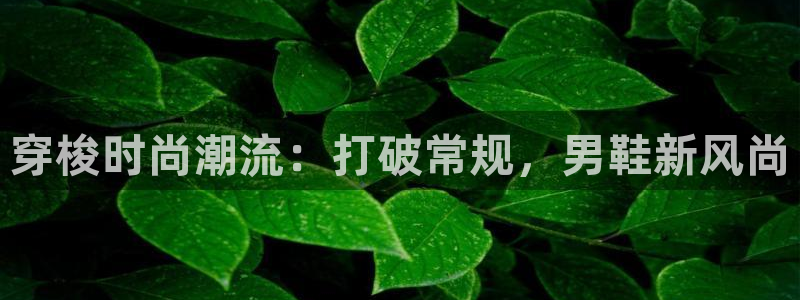 ag真人旗舰厅